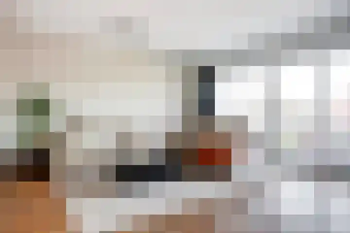 Boogschutter 67 Hoorn thumbnail 11