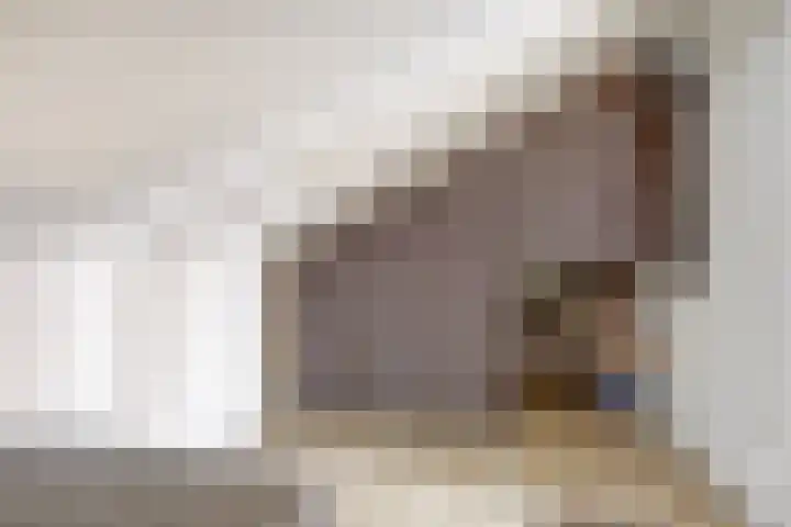 Boogschutter 67 Hoorn thumbnail 26