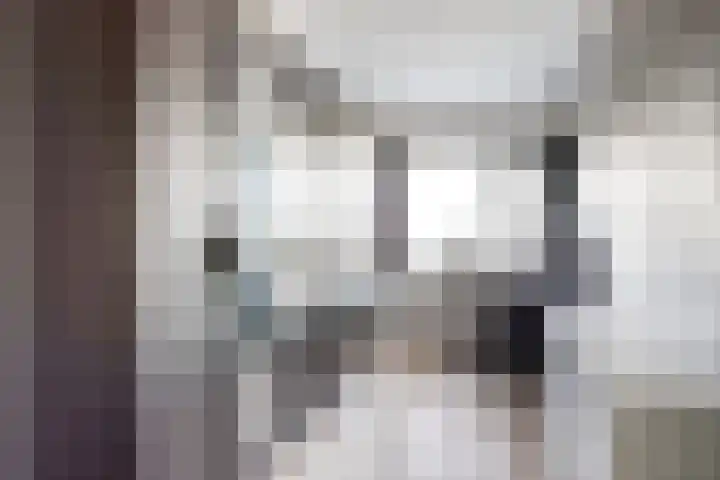 Boogschutter 67 Hoorn thumbnail 27