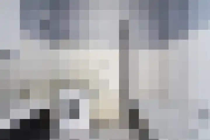 Boogschutter 67 Hoorn thumbnail 29