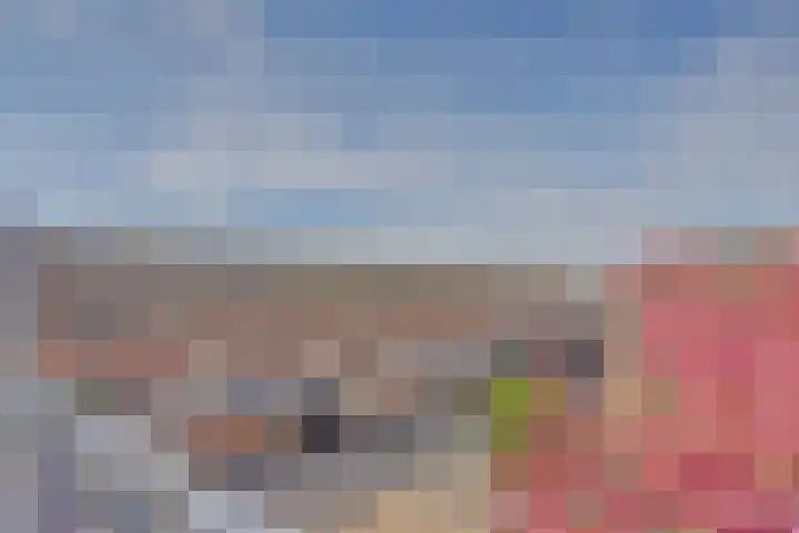 Boogschutter 67 Hoorn thumbnail 35
