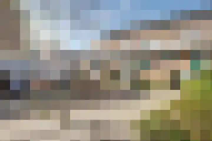 Boogschutter 67 Hoorn thumbnail 4