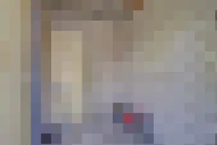 Boogschutter 67 Hoorn thumbnail 40