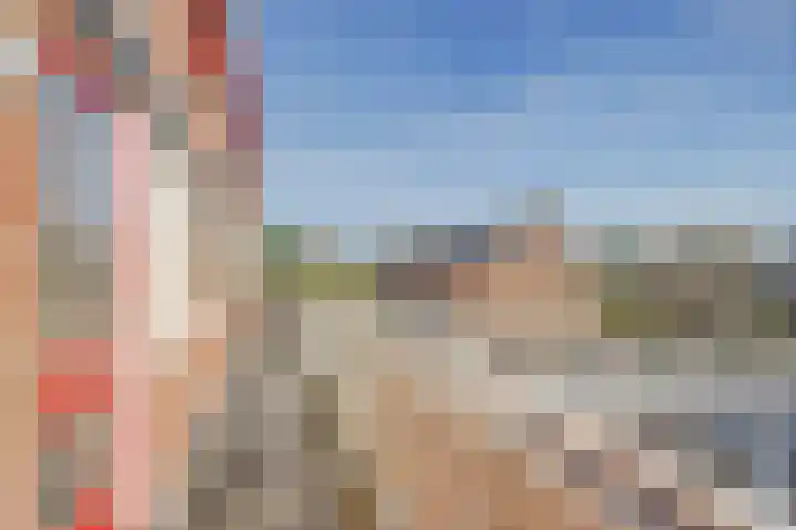Boogschutter 67 Hoorn thumbnail 6