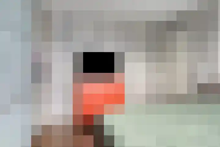 Boogschutter 75 Hoogezand thumbnail 16