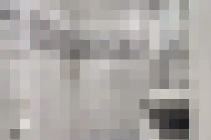 Boogschutter 75 Hoogezand thumbnail 20