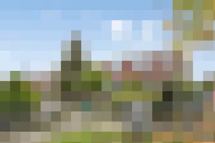 Boogschutter 75 Hoogezand thumbnail 28