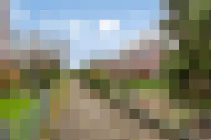 Boogschutter 75 Hoogezand thumbnail 29