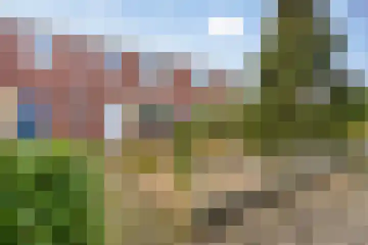 Boogschutter 75 Hoogezand thumbnail 30