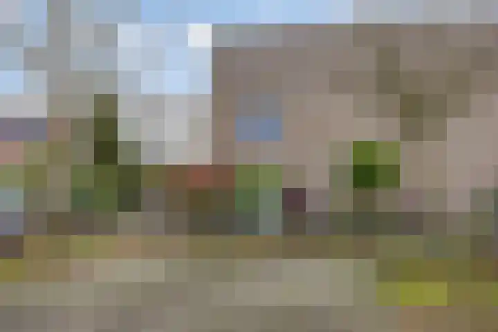 Boogschutter 75 Hoogezand thumbnail 35