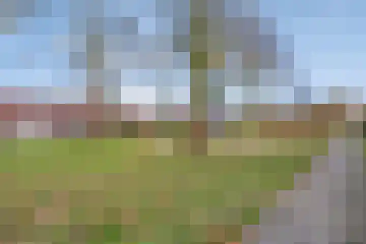 Boogschutter 75 Hoogezand thumbnail 36