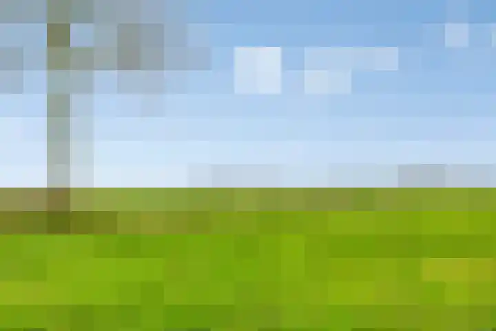 Boogschutter 75 Hoogezand thumbnail 38
