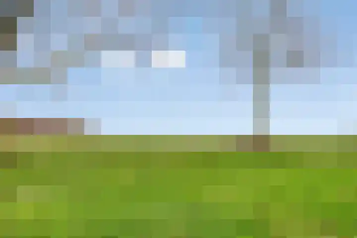 Boogschutter 75 Hoogezand thumbnail 39