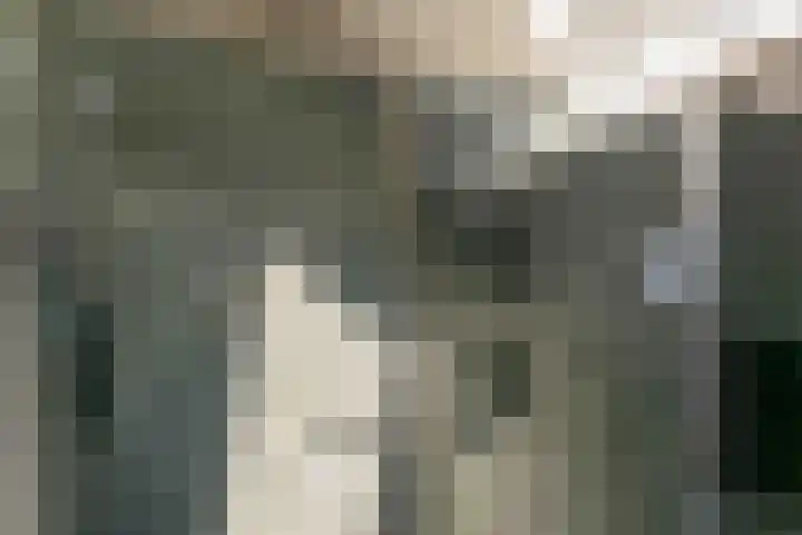 Boogschutterlaan 1 Son en Breugel thumbnail 24