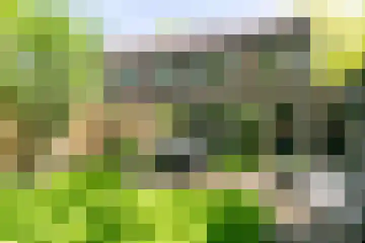 Boogschutterlaan 1 Son en Breugel thumbnail 30