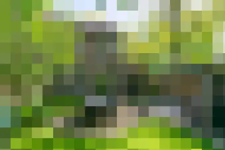 Boogschutterlaan 1 Son en Breugel thumbnail 5