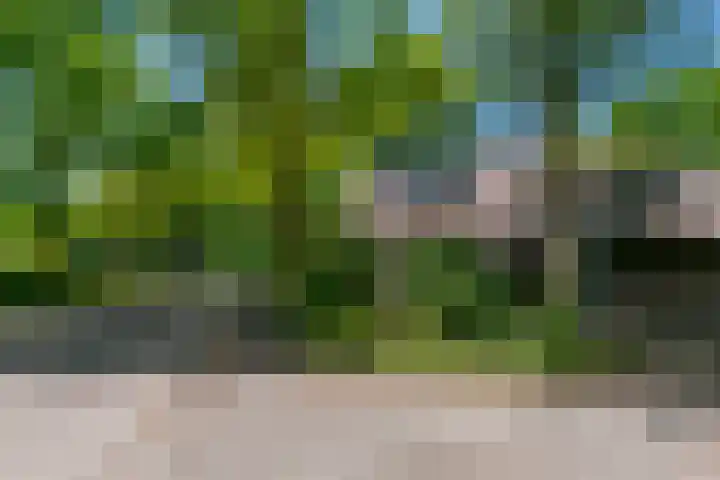 Boogschutterlaan 1 Son en Breugel thumbnail 8