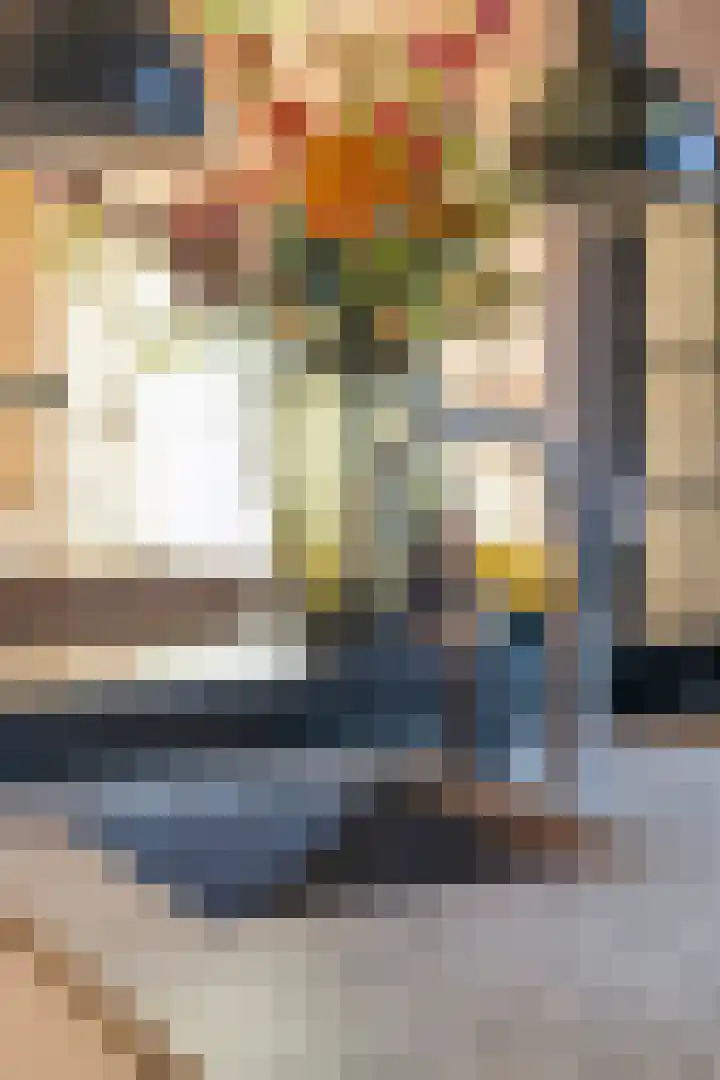 Boomdijk 13 Bruinisse thumbnail 18