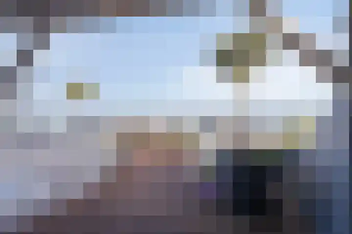 Boomdijk 13 Bruinisse thumbnail 32