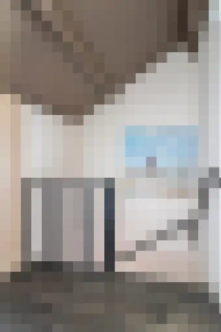 Boomdijk 13 Bruinisse thumbnail 39