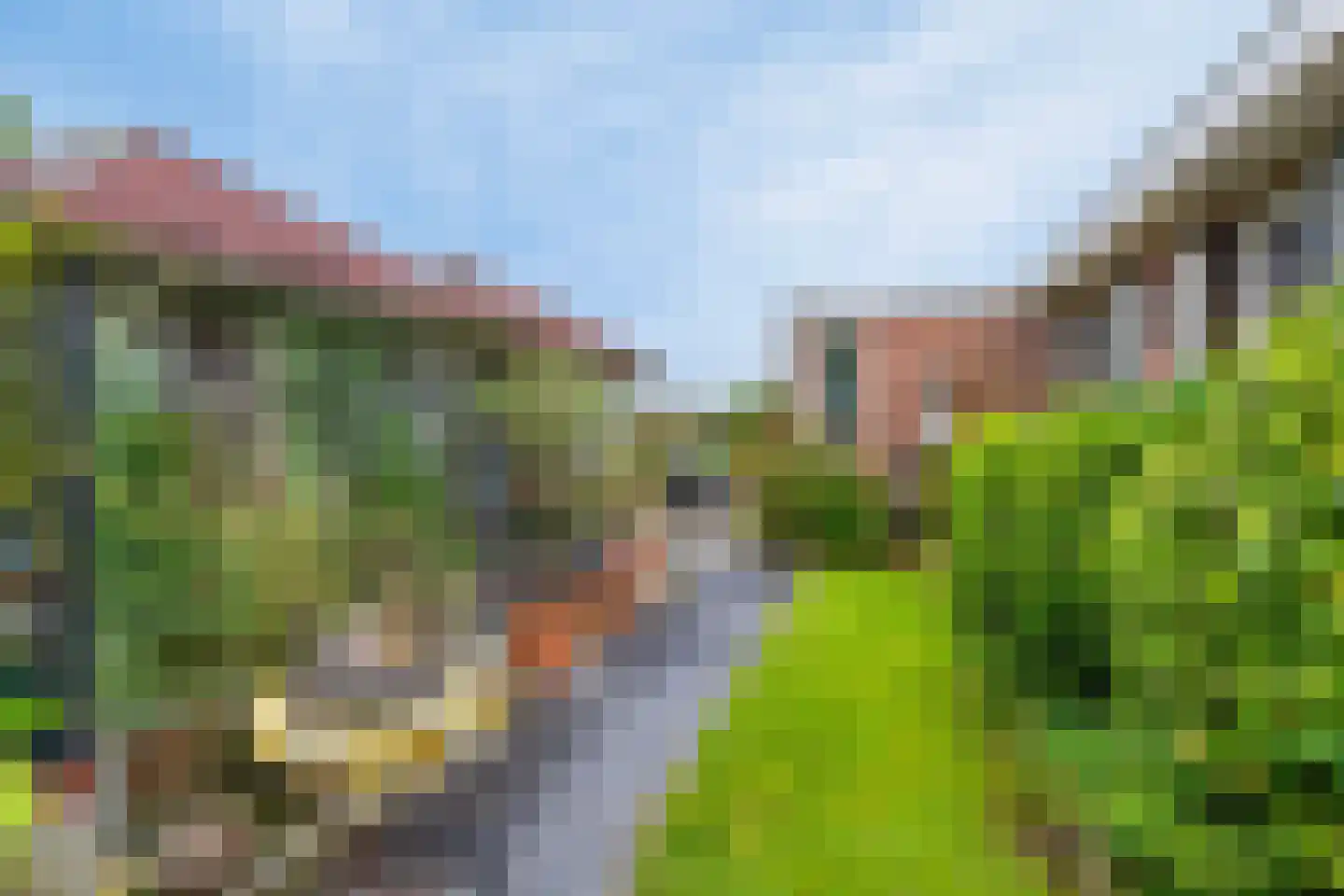 Boomdijk 32 Steenbergen thumbnail 26