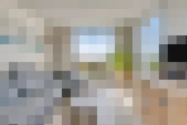Boomdijk 9 Wolphaartsdijk thumbnail 10