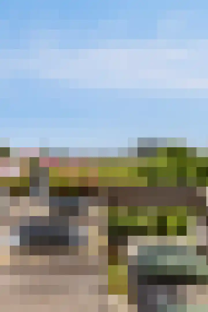 Boomdijk 9 Wolphaartsdijk thumbnail 11