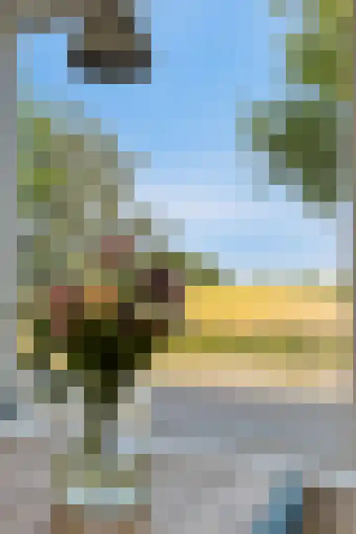 Boomdijk 9 Wolphaartsdijk thumbnail 16