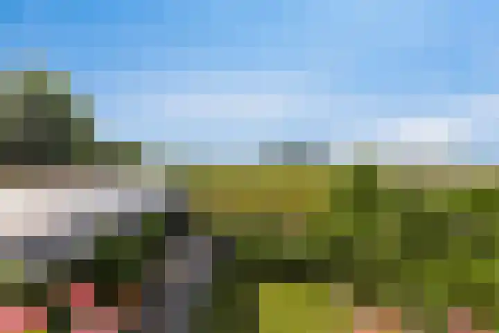 Boomdijk 9 Wolphaartsdijk thumbnail 18