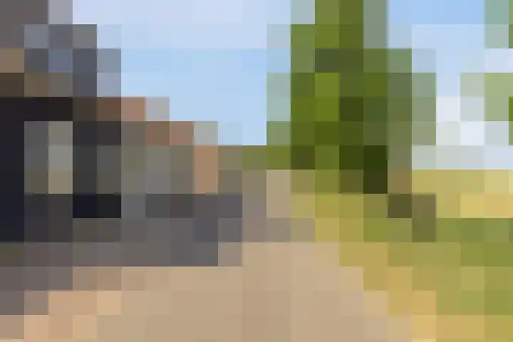 Boomdijk 9 Wolphaartsdijk thumbnail 4