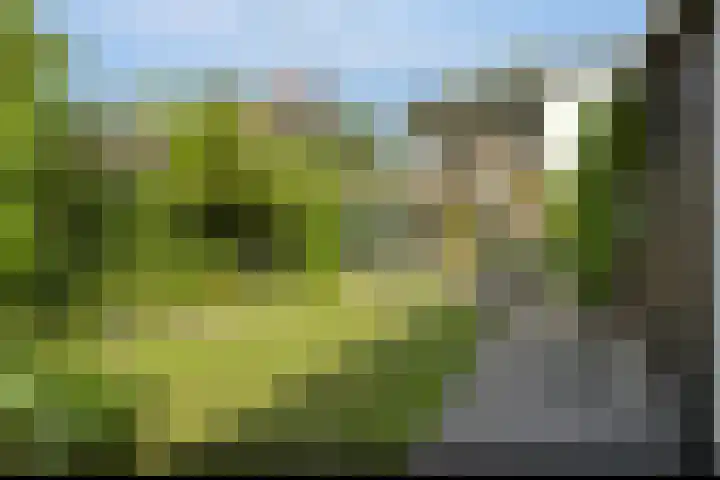 Boomdijk 9 Wolphaartsdijk thumbnail 41