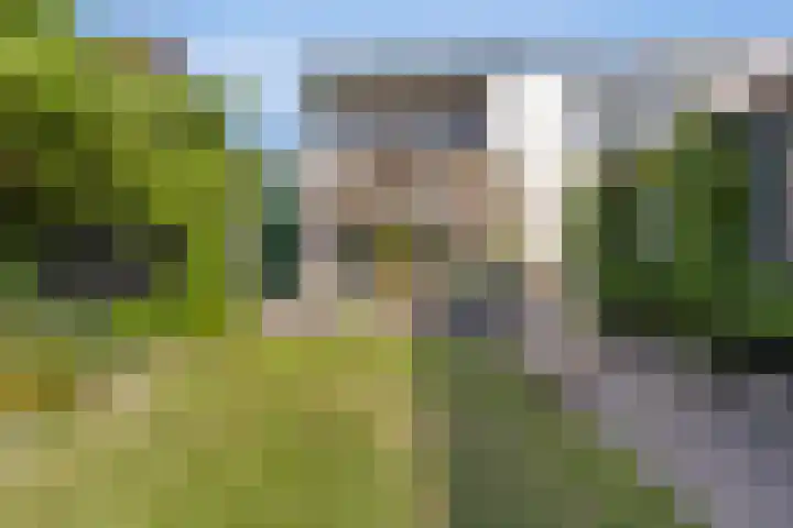 Boomdijk 9 Wolphaartsdijk thumbnail 42