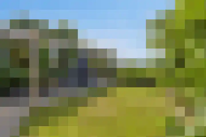Boomdijk 9 Wolphaartsdijk thumbnail 43