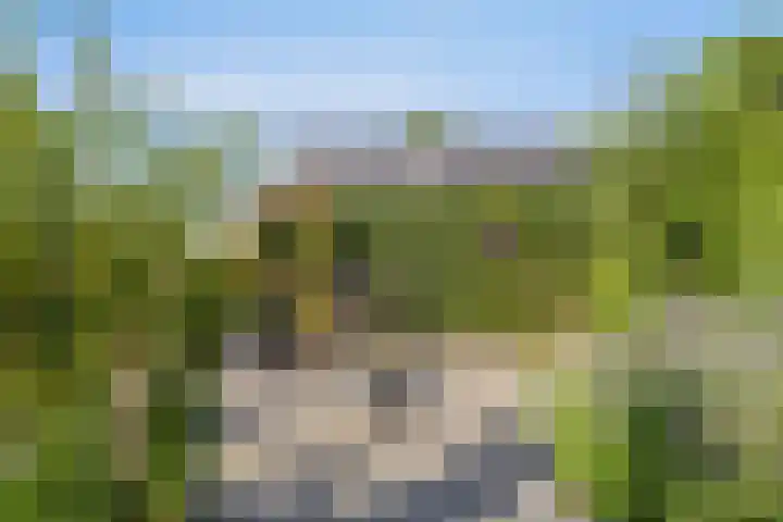 Boomdijk 9 Wolphaartsdijk thumbnail 46