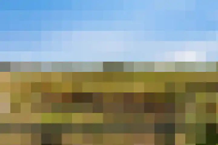 Boomdijk 9 Wolphaartsdijk thumbnail 47