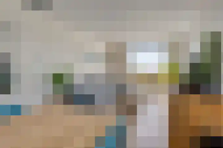 Boomdijk 9 Wolphaartsdijk thumbnail 9
