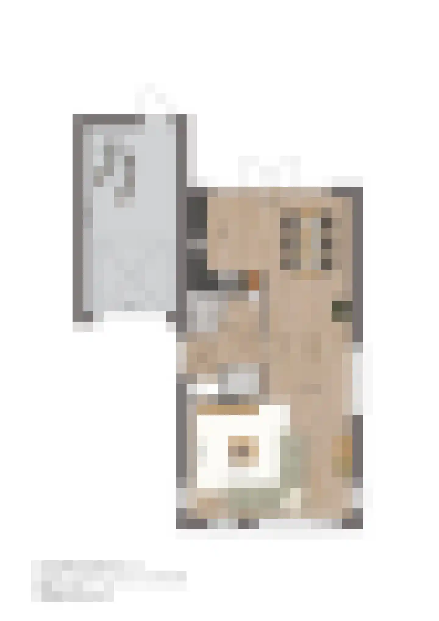 Boomgaard 16 Andel thumbnail 4