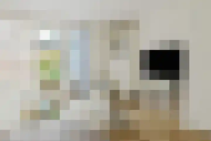 Boomgaard 23 Zundert thumbnail 12