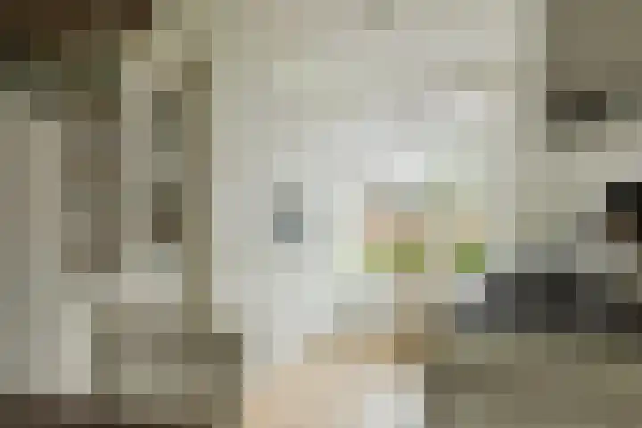Boomgaard 23 Zundert thumbnail 15