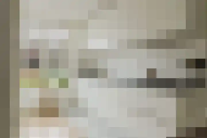 Boomgaard 23 Zundert thumbnail 16