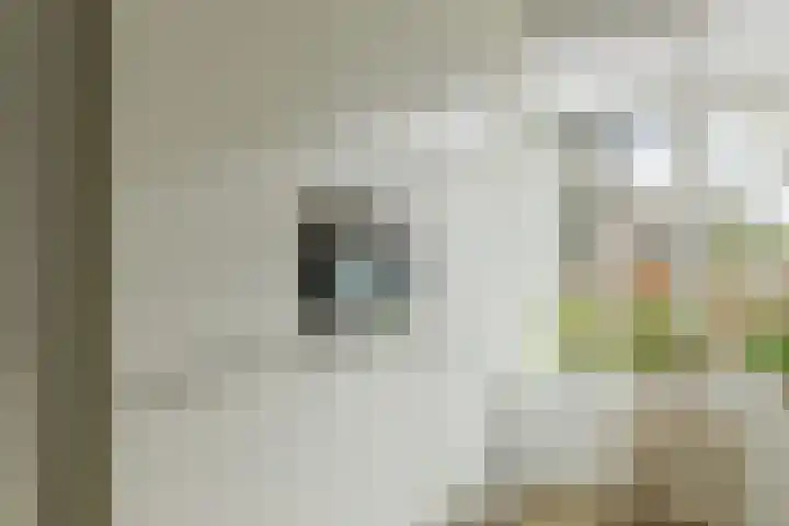 Boomgaard 23 Zundert thumbnail 17