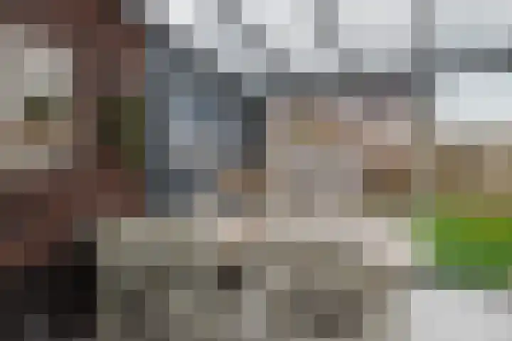 Boomgaard 23 Zundert thumbnail 19