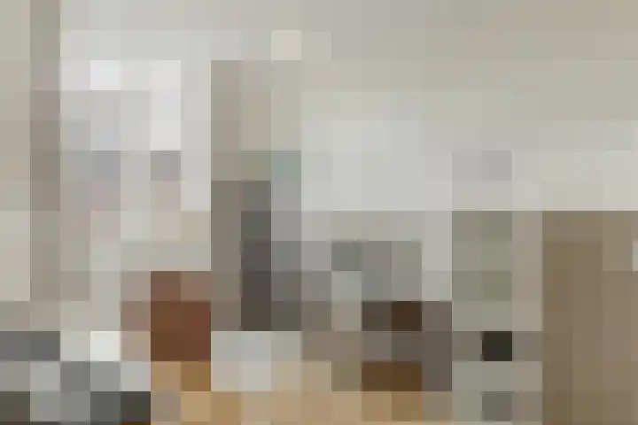 Boomgaard 23 Zundert thumbnail 27