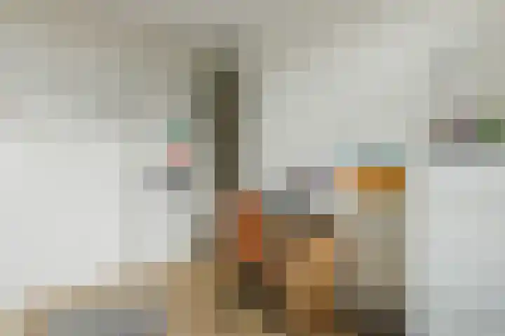Boomgaard 23 Zundert thumbnail 28