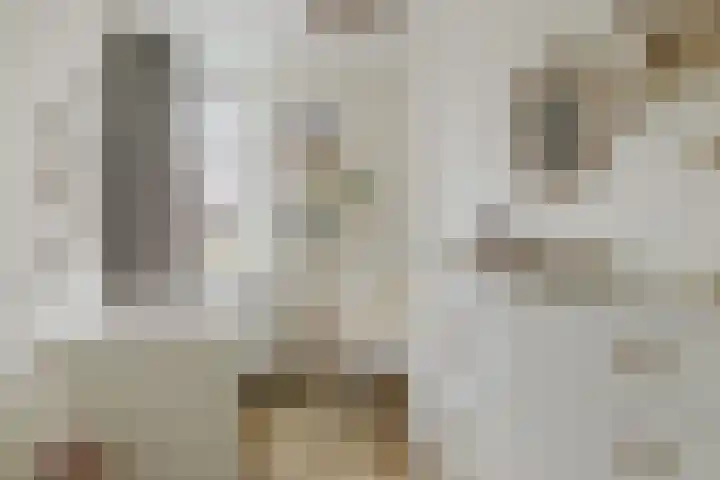 Boomgaard 23 Zundert thumbnail 33