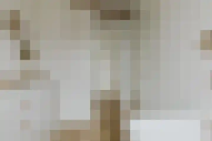 Boomgaard 23 Zundert thumbnail 34