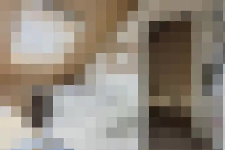Boomgaard 23 Zundert thumbnail 36