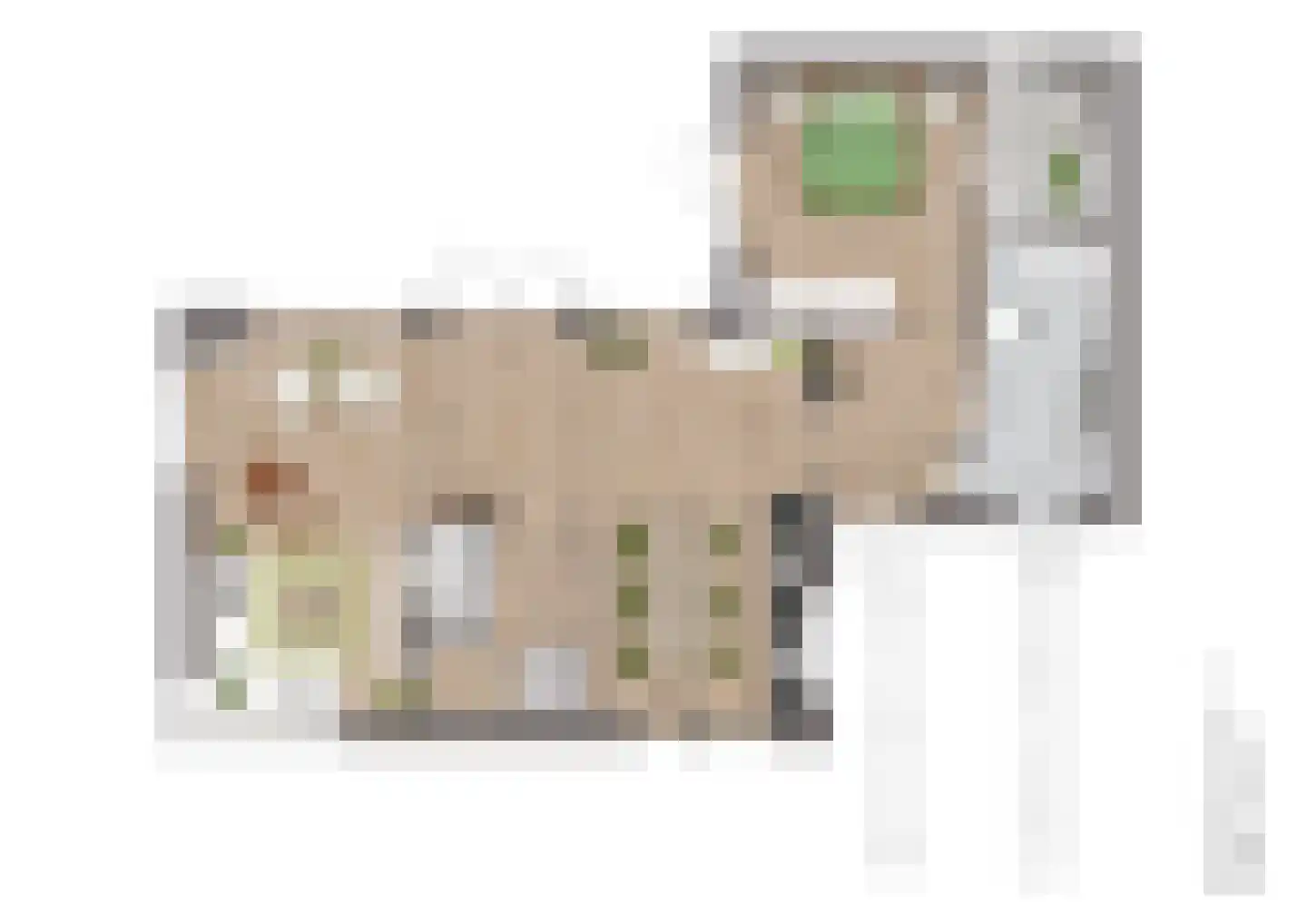 Boomgaard 4 Andel foto 2