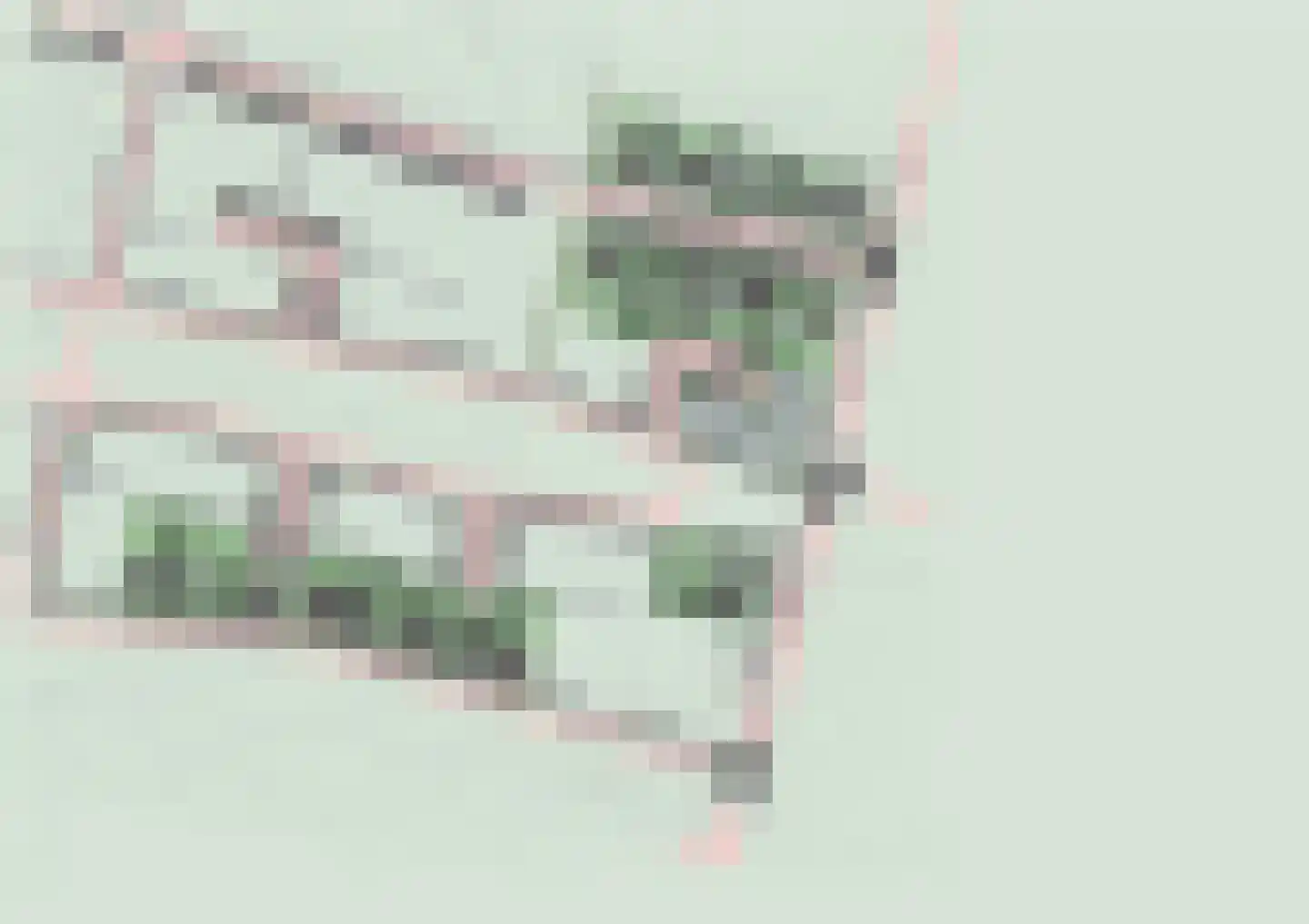 Boomgaard 4 Andel thumbnail 4