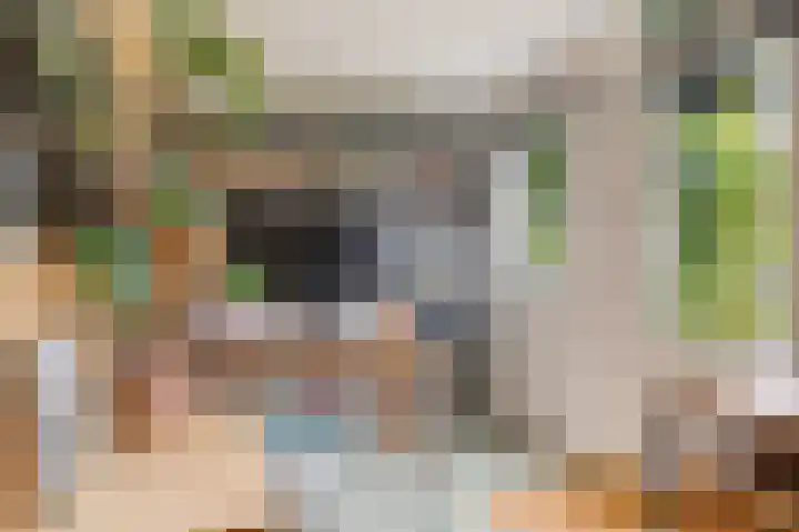 Boomgaardweg 47 Odijk thumbnail 32